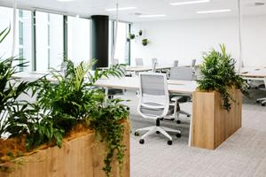 Different types of office partitions and their benefits - Portable